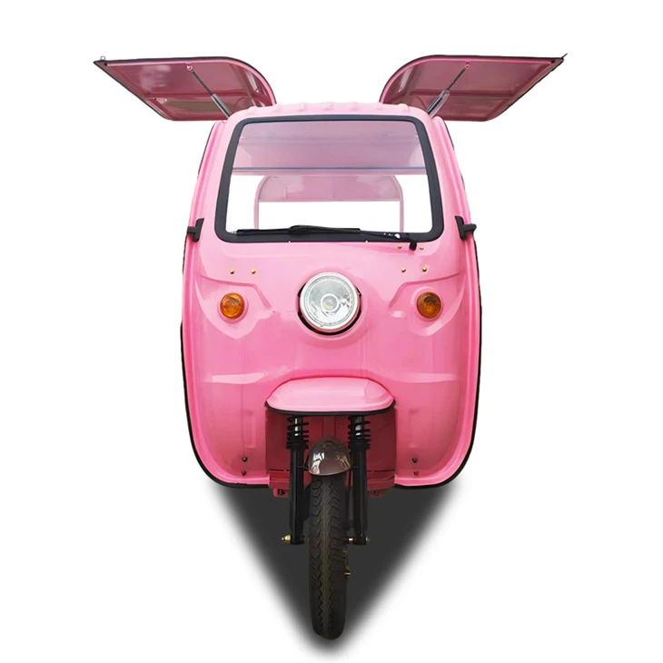 Woz mobil kwizin lou-devwa elektrik trike